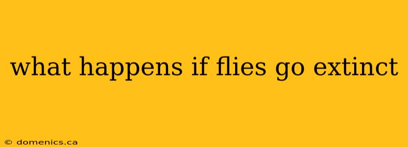 what happens if flies go extinct