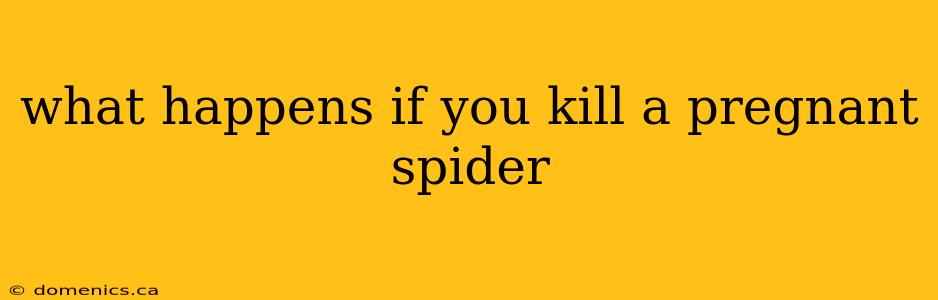 what happens if you kill a pregnant spider