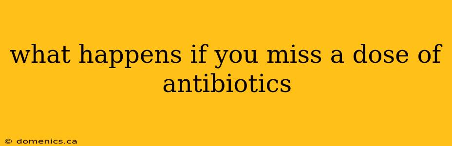 what happens if you miss a dose of antibiotics