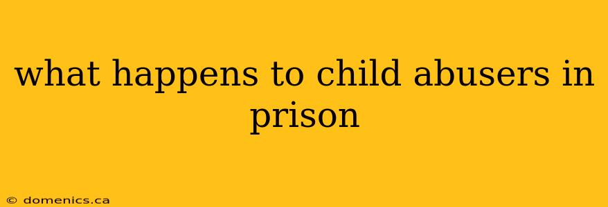 what happens to child abusers in prison