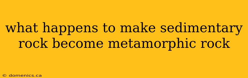 what happens to make sedimentary rock become metamorphic rock