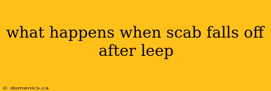 what happens when scab falls off after leep
