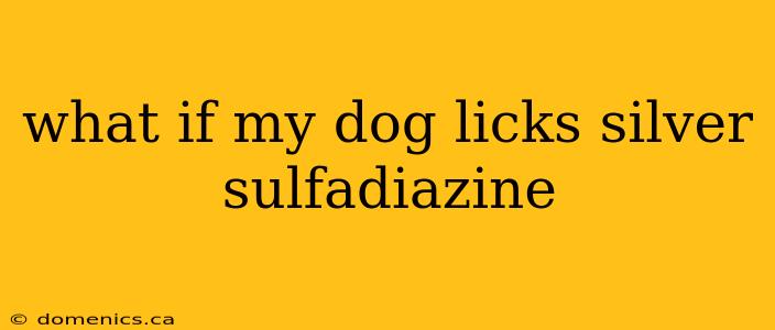 what if my dog licks silver sulfadiazine