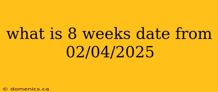 what is 8 weeks date from 02/04/2025