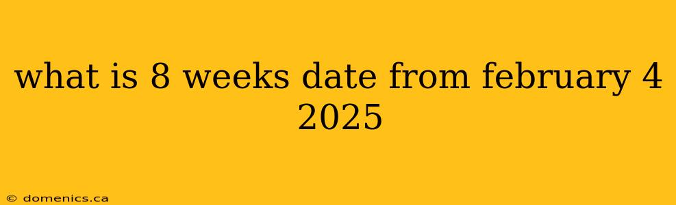 what is 8 weeks date from february 4 2025