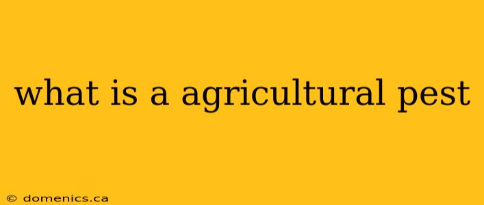 what is a agricultural pest