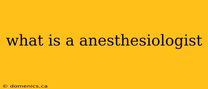 what is a anesthesiologist