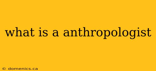 what is a anthropologist