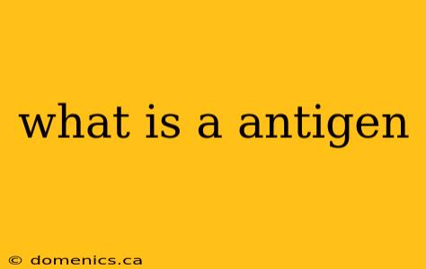 what is a antigen