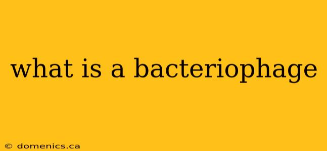 what is a bacteriophage