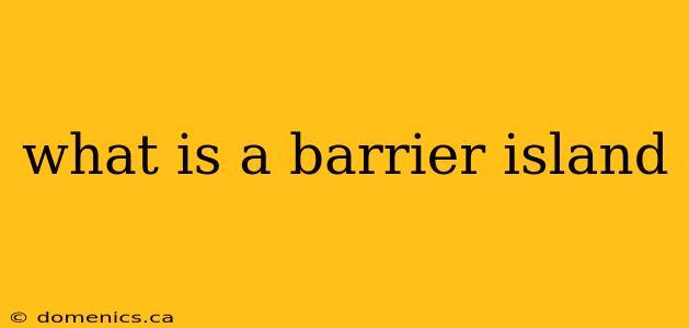 what is a barrier island