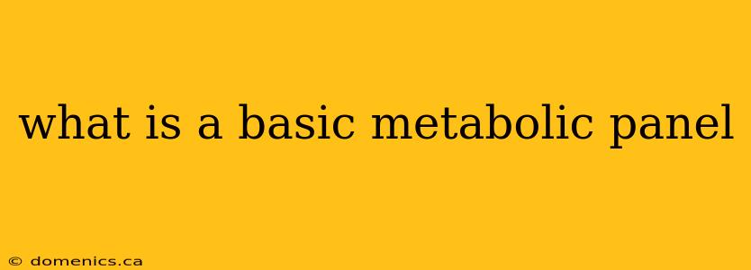 what is a basic metabolic panel