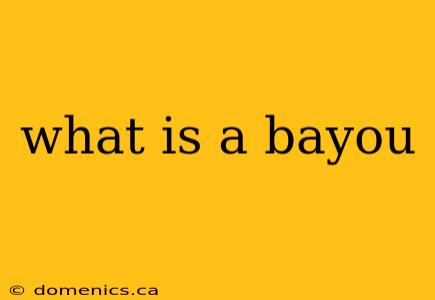 what is a bayou