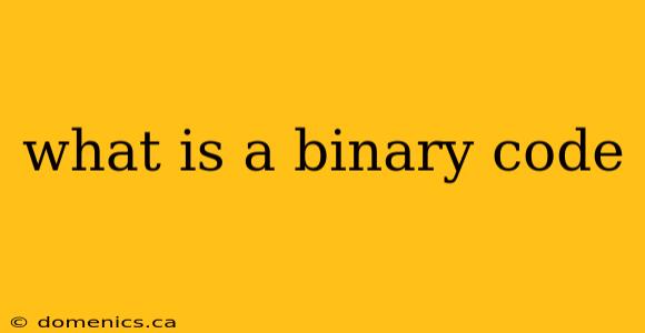 what is a binary code