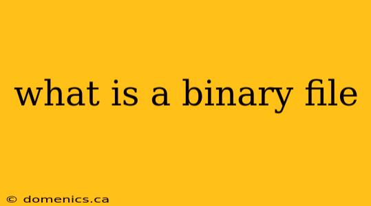 what is a binary file