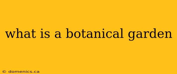 what is a botanical garden