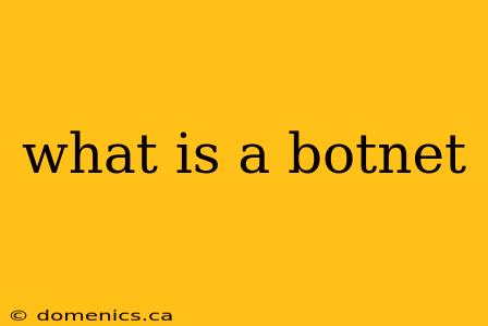 what is a botnet