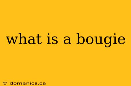 what is a bougie