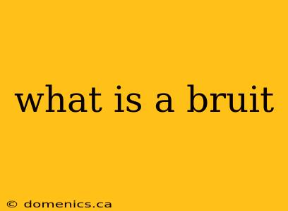 what is a bruit