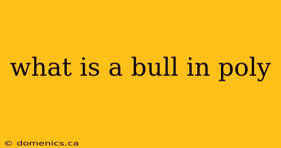 what is a bull in poly