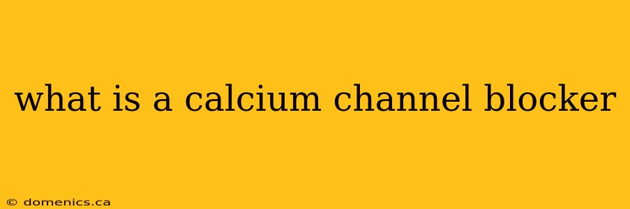 what is a calcium channel blocker