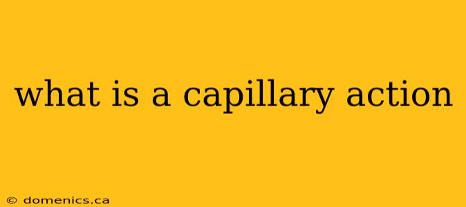 what is a capillary action