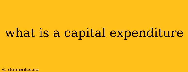 what is a capital expenditure