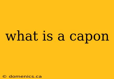 what is a capon