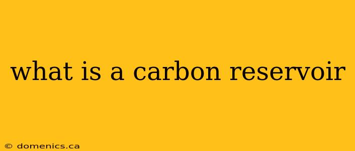 what is a carbon reservoir