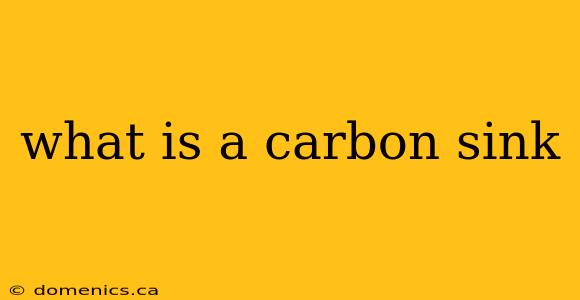 what is a carbon sink