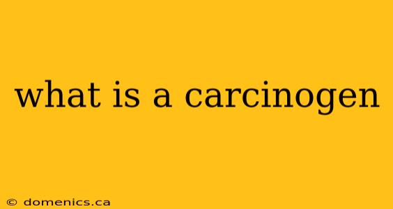 what is a carcinogen