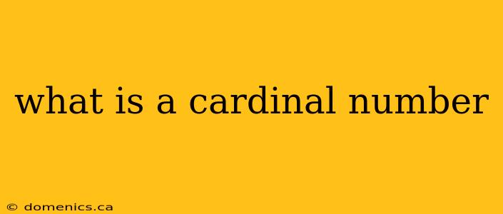 what is a cardinal number