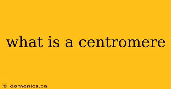 what is a centromere