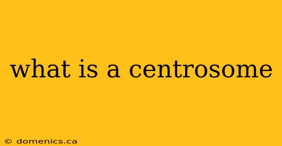 what is a centrosome