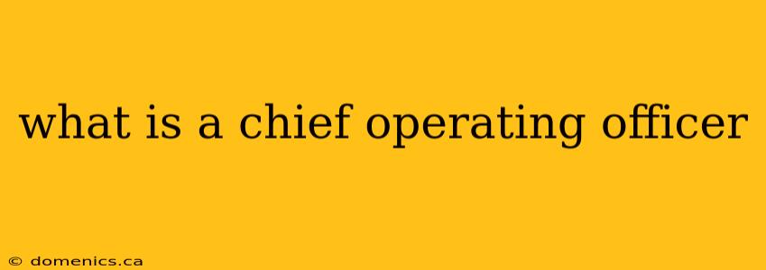 what is a chief operating officer