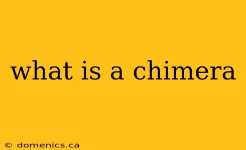 what is a chimera