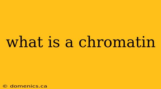 what is a chromatin