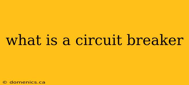 what is a circuit breaker