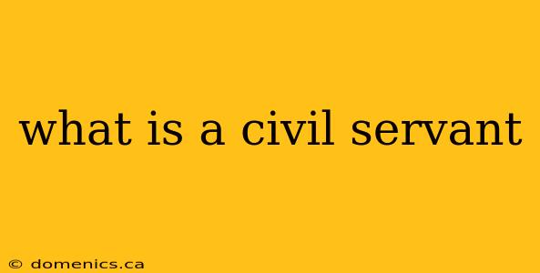 what is a civil servant