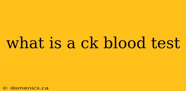 what is a ck blood test