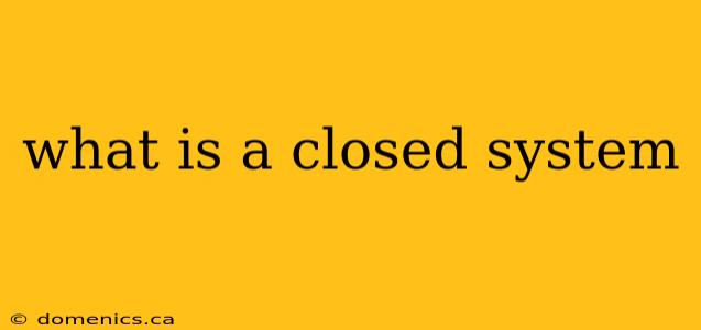 what is a closed system