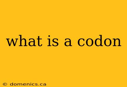 what is a codon