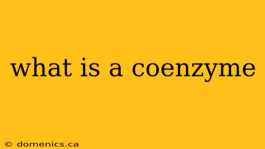 what is a coenzyme