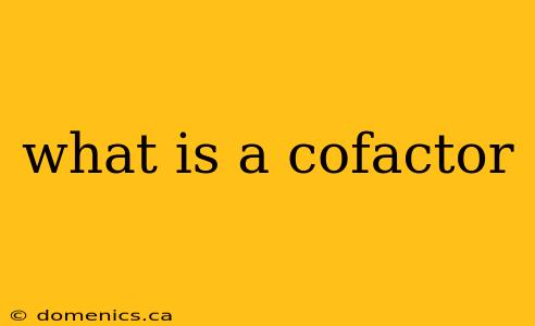 what is a cofactor