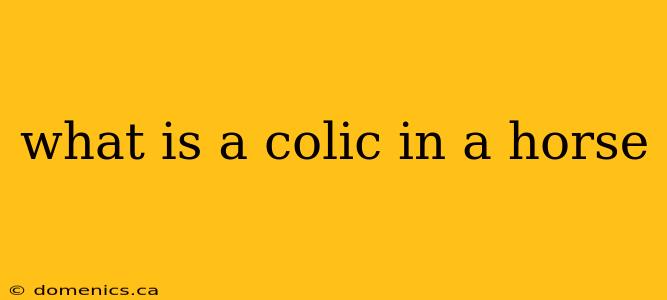 what is a colic in a horse