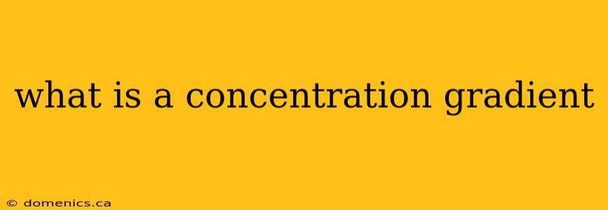 what is a concentration gradient