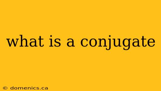 what is a conjugate