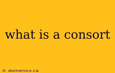 what is a consort