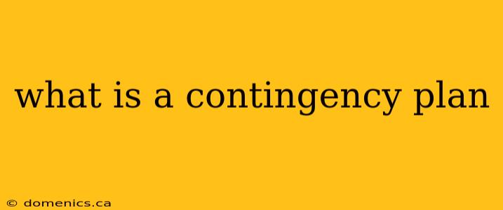 what is a contingency plan