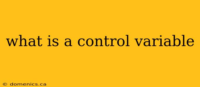 what is a control variable